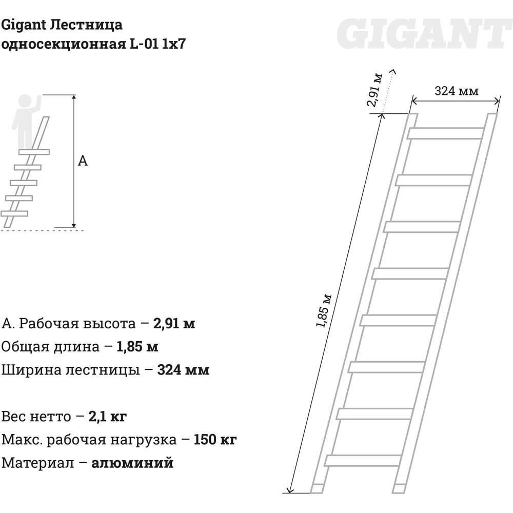 Односекционная лестница Gigant L-01 (4627147756209) - фото 5