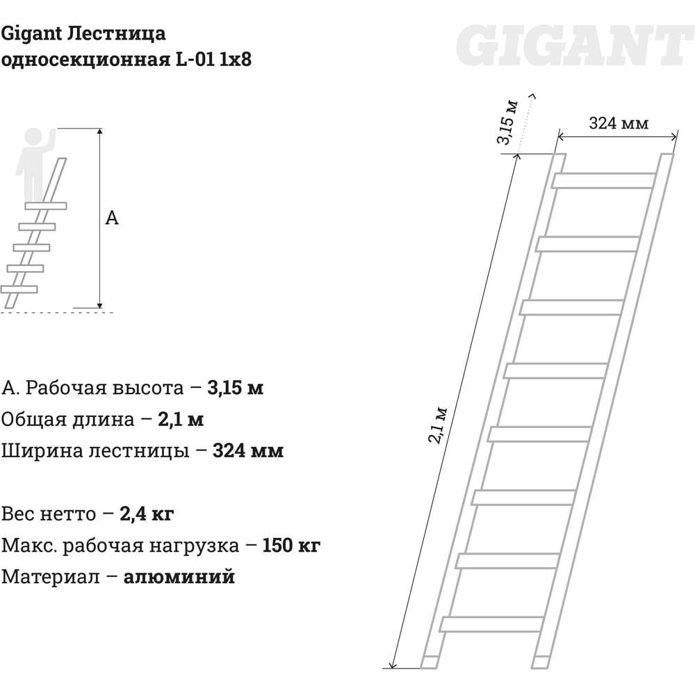 Односекционная лестница Gigant L-01 (4627147756216) - фото 5