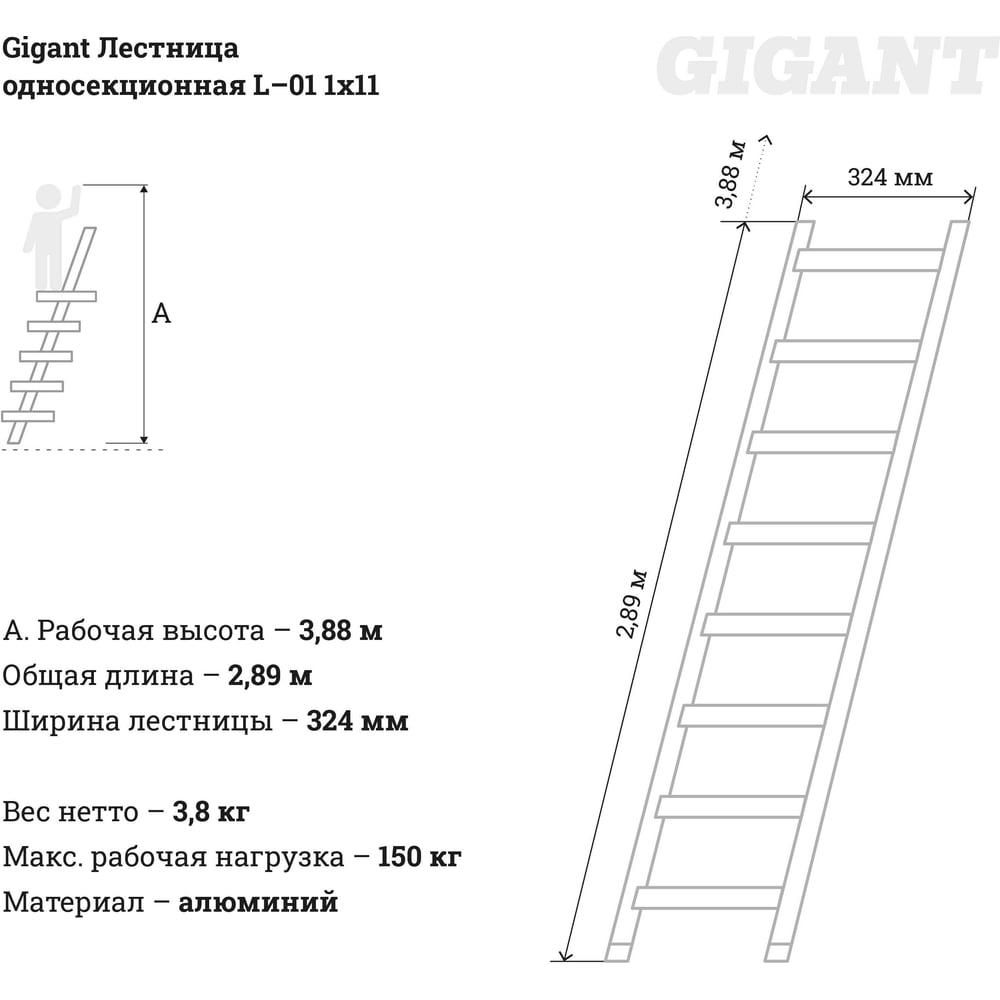 Односекционная лестница Gigant L-01 (4627147756247) - фото 5