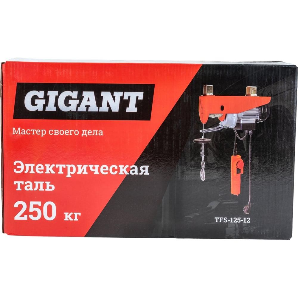 Электрическая таль Gigant TFS-125-12 - фото 9