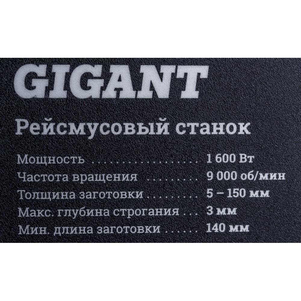 Рейсмусовый станок Gigant TPJ-320-1600 - фото 4