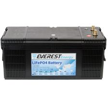 Тяговый аккумулятор Everest LFP-24V160AH