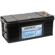 Литиевый тяговый аккумулятор Everest LFP-24V160AH