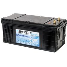 Тяговый литиевый аккумулятор Everest LFP-24V160AH
