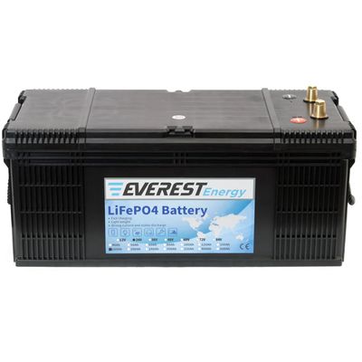 Тяговый аккумулятор Everest LFP-24V160AH