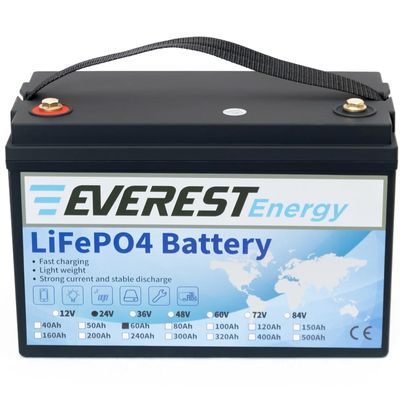 Тяговый литиевый аккумулятор Everest LFP-24V60AH