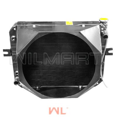 Радиатор WL Maximal FG20-40 ( K21/25) (M30221N01000 (diff))