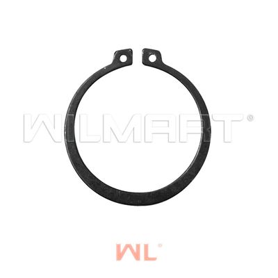 Кольцо для подшипника WL 55 (52мм посадочный диметр) АС (315 АС25)