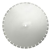 Алмазный диск Dr Schulze W24 Н10 3,8 (700 мм)