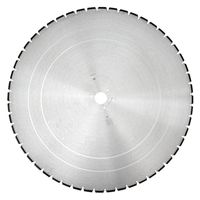 Алмазный диск Dr Schulze BS-W H10 46 segm. (900 мм)