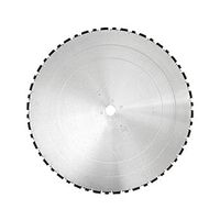 Алмазный диск Dr Schulze BS-WG H10 52 segm. (900 мм)