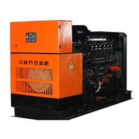 Газовый генератор Genese GE280 200 кВт