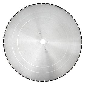Алмазный диск Dr Schulze BS-W-B (700 мм)