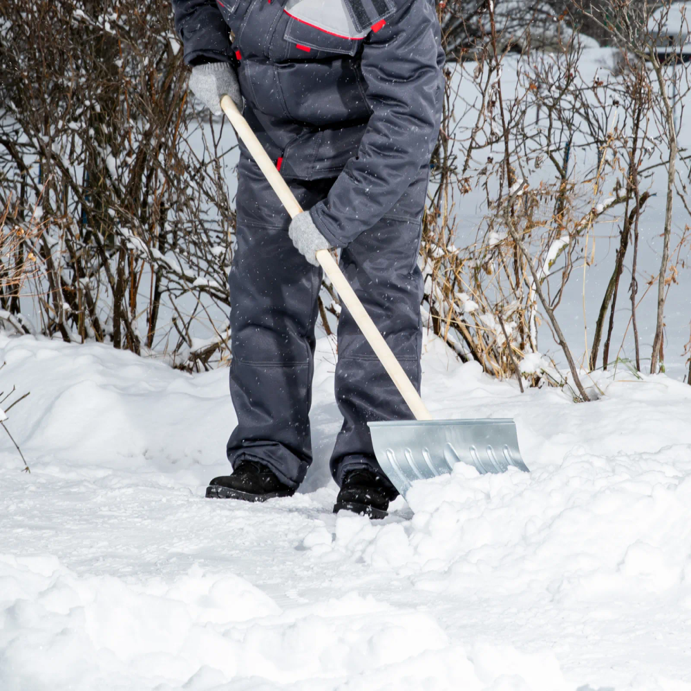 Лопата для уборки снега стальная оцинкованная, 430х370х1350 мм, деревянный черенок, Россия, Сибртех - фото 8