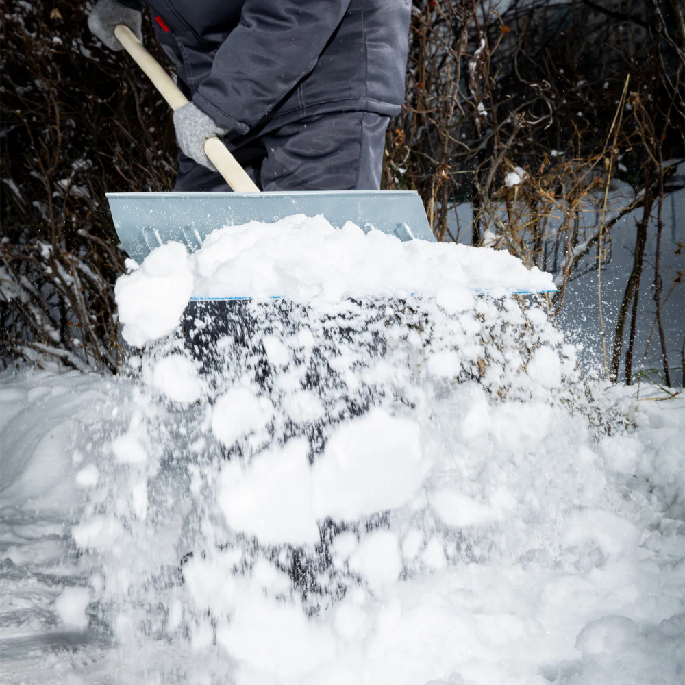 Лопата для уборки снега стальная оцинкованная, 430х370х1350 мм, деревянный черенок, Россия, Сибртех - фото 9