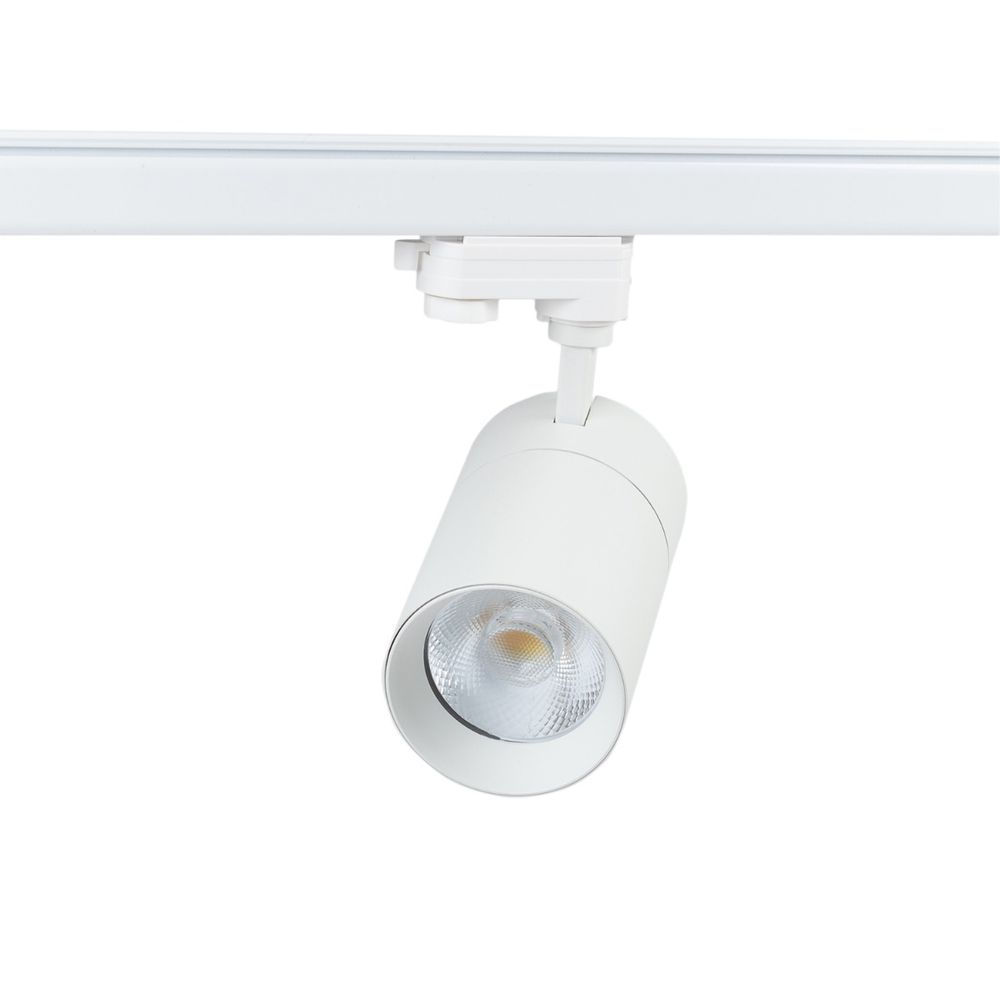 Светодиодный прожектор Blaupunkt 1-фазный Vision 30W белый, с переключателем цвета света - фото 2